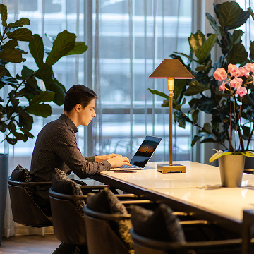 A man sitting at a long wooden counter in a well-lit space, working on a laptop with a large plant nearby.