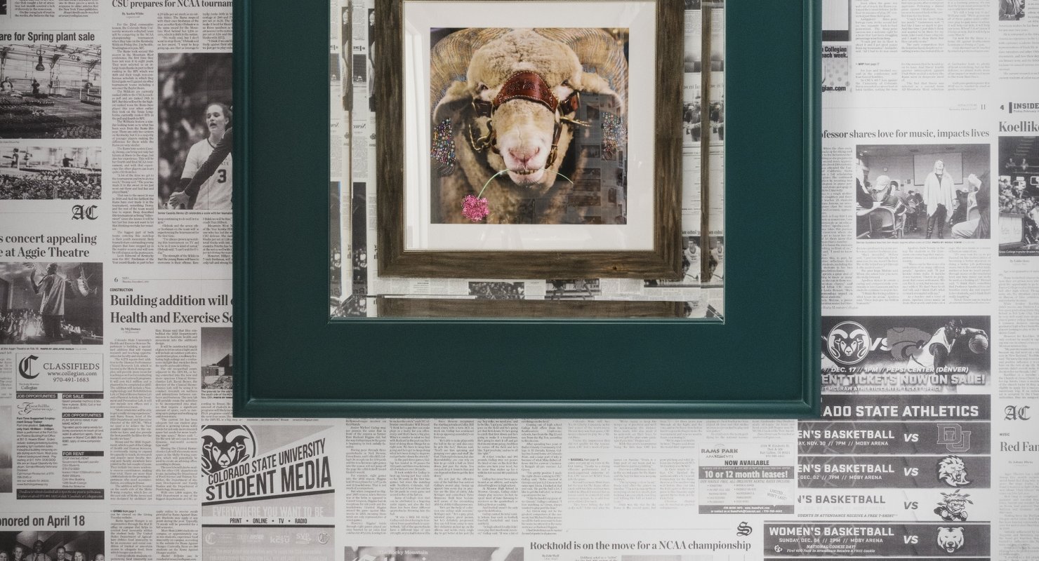 newspaper walls in the bathroom