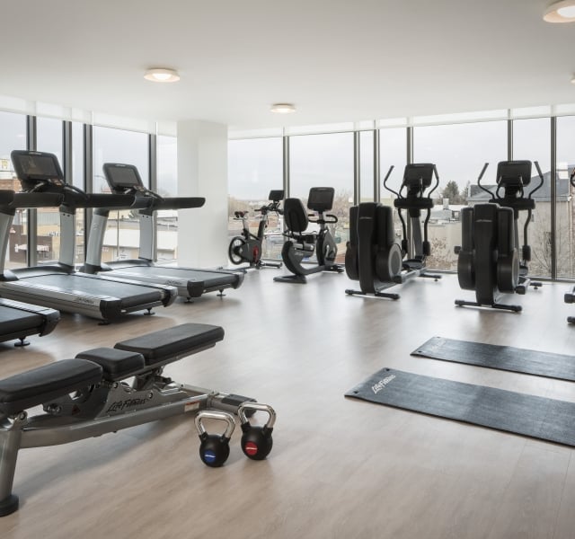 gym