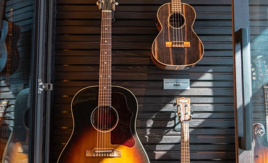 guitar's collection